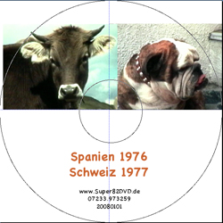 Beispiel DVD